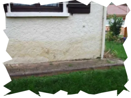 avant d'acheter la maison pisé